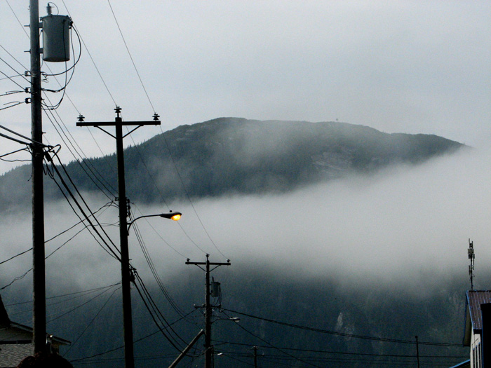 Early morning mist.